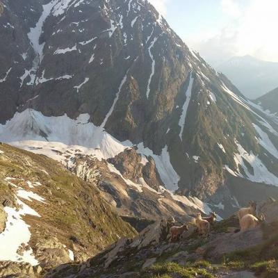 Mont Blanc 2016 004